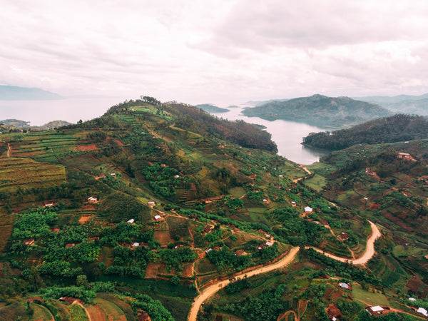 Rwanda Rugali - Monkeyboard Coffee