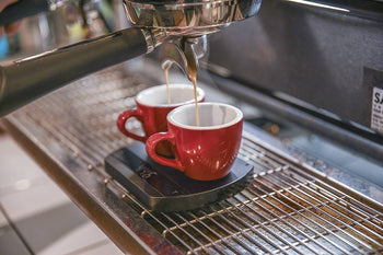 Felicita Arc Waterproof Coffee Scale - Monkeyboard Coffee