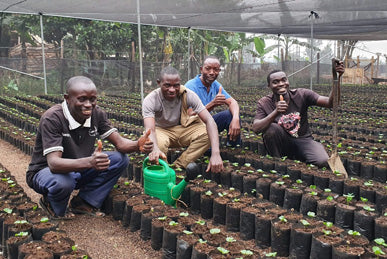 Uganda Kisinga - Monkeyboard Coffee