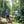 India - Hospura Estate