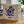 Brazil - Gesha Honey Microlot - Monkeyboard Coffee